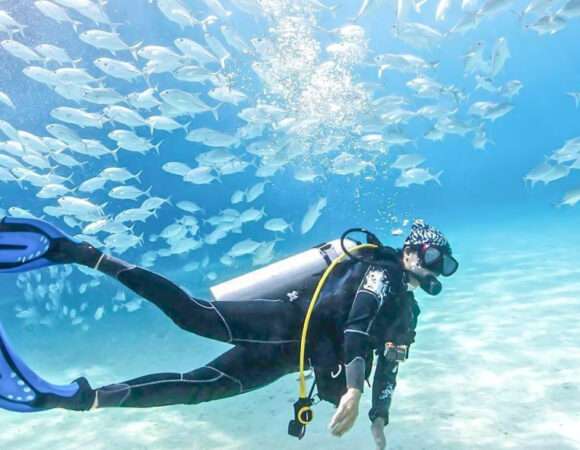 Scuba Diving At Jumeirah Beach 30 Min Session