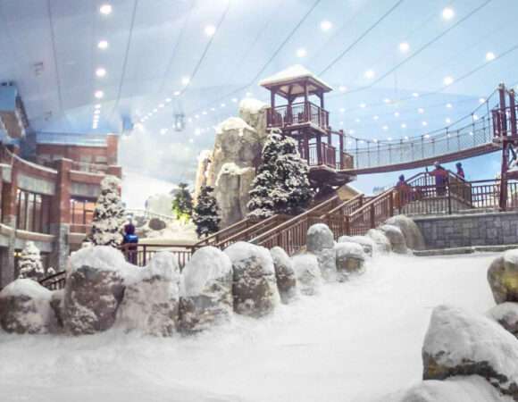 Ski Dubai Snow Park Polar Pass