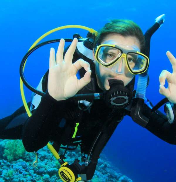 Two Tank Shipwreck Diving Experience At Fujairah