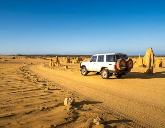 Desert Safari With IMG World