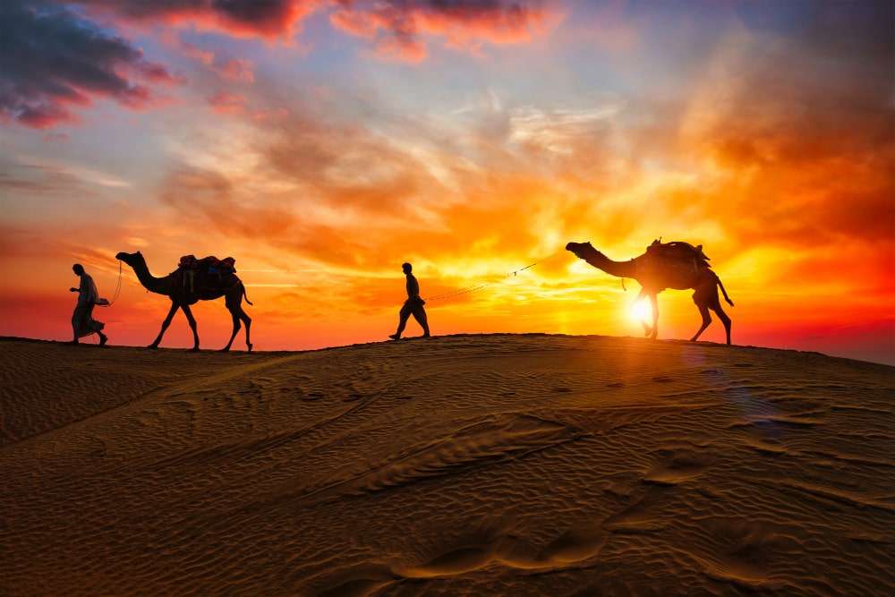 Desert Safari With Half Day Dubai City Tour